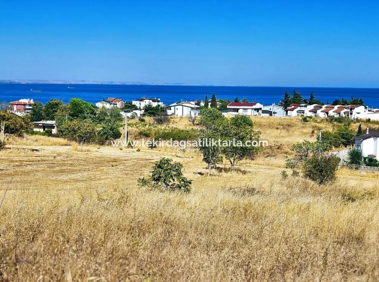 Coupon Grundstück Geeignet Für Den Bau Eines Einfamilienhauses Mit Vollem Meerblick Zum Dringenden Verkauf In Tekirdag Barbarosta