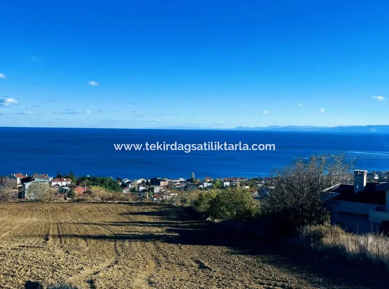 Wohngrundstück Mit Vollem Meerblick, Geeignet Für Den Bau Eines Genossenschaftsstandorts Mit 42 Wohnungen Zum Dringenden Verkauf In Tekirdag Barbarosta