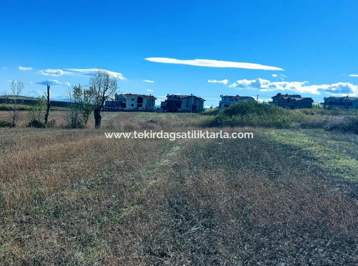 15.000 M2 Villengrundstück Zum Dringenden Verkauf In Tekirdag Barbarosta