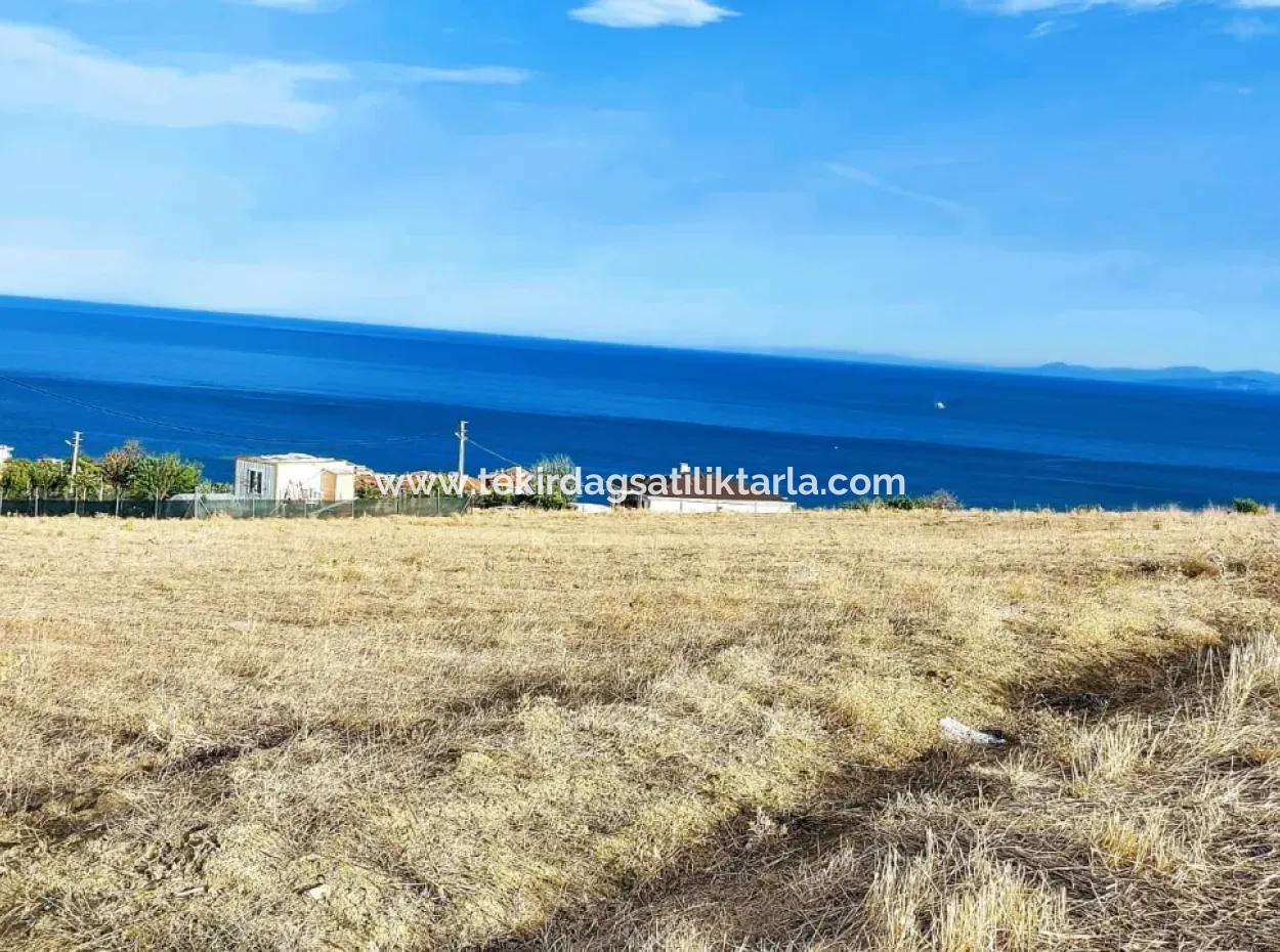 568 M2 Grundstück Mit Vollem Meerblick Zum Dringenden Verkauf In Tekirdag Barbarosta