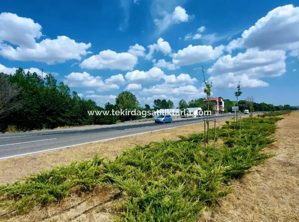 3.143 M2 Investitionsgrundstück Mit Blick Auf Die Çanakkale Road Im Bezirk Tekirdağ Mahramlı! Geeignet Für Den Arbeitsplatz- Oder Mehrzweckeinsatz, Gelegenheitsinvestition Mit Fertiger Infrastruktur