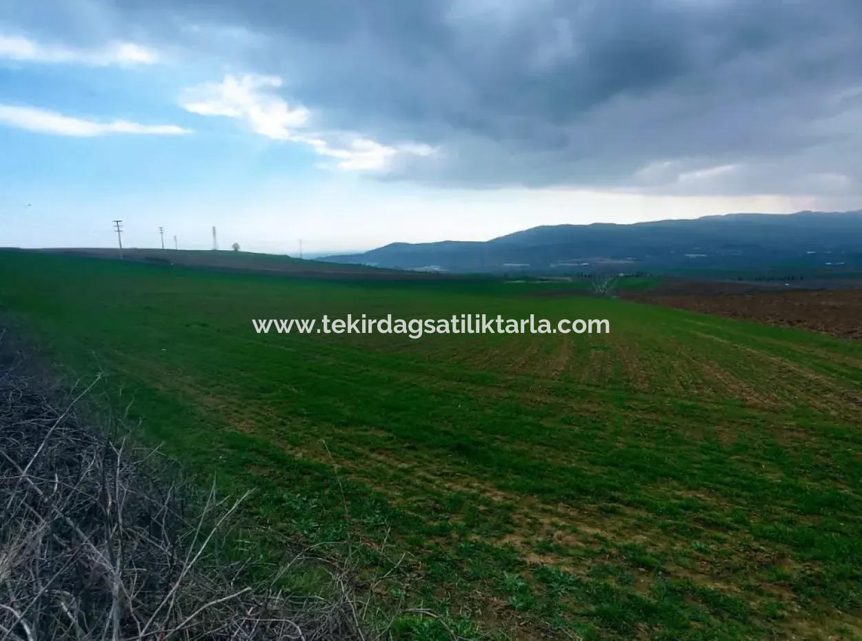 Investitionsmöglichkeit Für Gewerbe- Und Industriegebiete Im Rahmen Des Aktuellen Bebauungsplans Des Asyaport-Hafens In Der Region Tekirdağ Barbaros