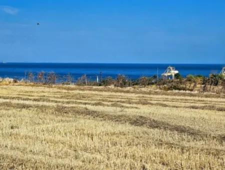 8.500 M2 Wohngebiet Zum Dringenden Verkauf In Der Nähe Des Hafens Von Asyaport