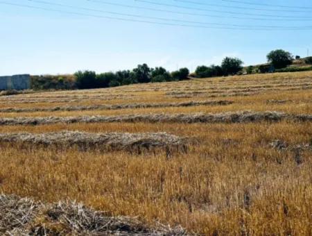 8.500 M2 Wohngebiet Zum Dringenden Verkauf In Der Nähe Des Hafens Von Asyaport