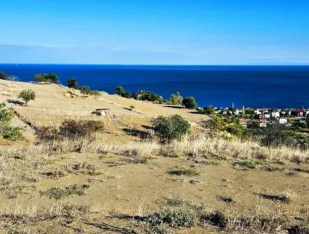 532 M2 Eckgrundstück Zum Verkauf In Tekirdag Süleymanpaşa Barbaros Nachbarschaft Mit Herrlichem Meer- Und Naturblick