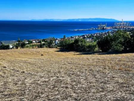 25 Wohnungen Mit Vollem Meerblick Gutscheinplatz Zum Dringenden Verkauf In Tekirdag Barbarosta