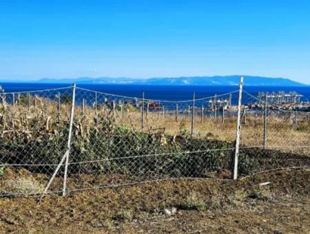 765 M2 Schnäppchengrundstück Mit Vollem Meerblick Zum Dringenden Verkauf In Tekirdag Barbarosta