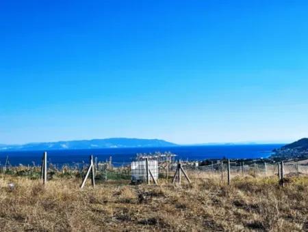 765 M2 Schnäppchengrundstück Mit Vollem Meerblick Zum Dringenden Verkauf In Tekirdag Barbarosta