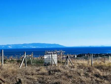 765 M2 Schnäppchengrundstück Mit Vollem Meerblick Zum Dringenden Verkauf In Tekirdag Barbarosta