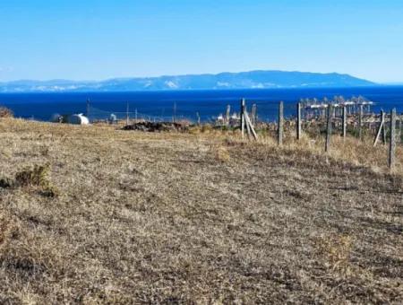 765 M2 Schnäppchengrundstück Mit Vollem Meerblick Zum Dringenden Verkauf In Tekirdag Barbarosta