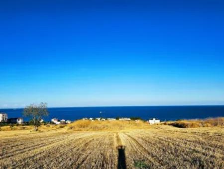 1.750 M2 Schnäppchen-Eckgrundstück Mit Vollem Meerblick Zum Dringenden Verkauf In Tekirdag Barbarosta