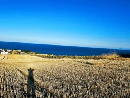 1.750 M2 Schnäppchen-Eckgrundstück Mit Vollem Meerblick Zum Dringenden Verkauf In Tekirdag Barbarosta