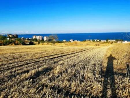 1.750 M2 Schnäppchen-Eckgrundstück Mit Vollem Meerblick Zum Dringenden Verkauf In Tekirdag Barbarosta