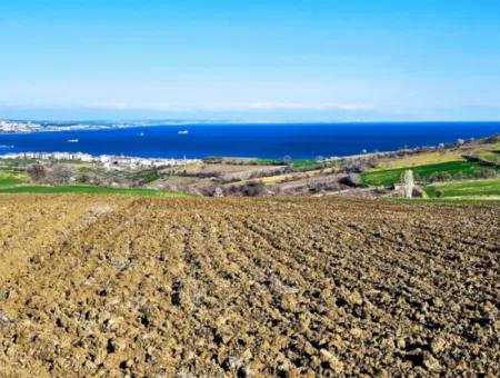 6.400 M2 Villa Zoniertes Grundstück Mit Vollem Meerblick Villa Zum Dringenden Verkauf In Tekirdag Barbarosta