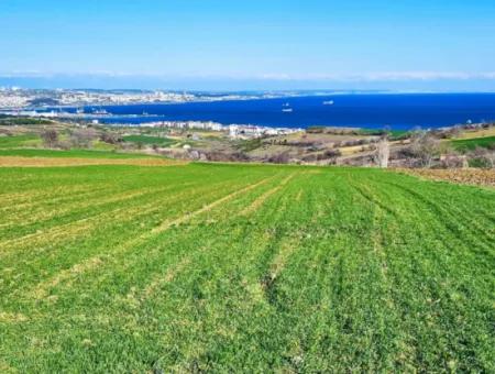 6.400 M2 Villa Zoniertes Grundstück Mit Vollem Meerblick Villa Zum Dringenden Verkauf In Tekirdag Barbarosta