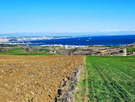 6.400 M2 Villa Zoniertes Grundstück Mit Vollem Meerblick Villa Zum Dringenden Verkauf In Tekirdag Barbarosta