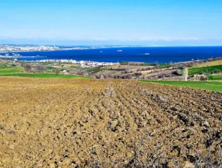 6.400 M2 Villa Zoniertes Grundstück Mit Vollem Meerblick Villa Zum Dringenden Verkauf In Tekirdag Barbarosta