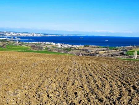 6.400 M2 Villa Zoniertes Grundstück Mit Vollem Meerblick Villa Zum Dringenden Verkauf In Tekirdag Barbarosta