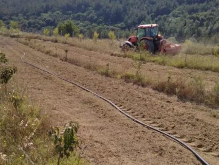 Wenn Sie Einen Dringend 35 Hektar Grossen Obstgarten Zum Verkauf Haben Möchten, Können Sie Auch Einen Bauernhof Nutzen, Der Für Die Gelegenheit Geeignet Ist, In Das Feld Zu Investieren