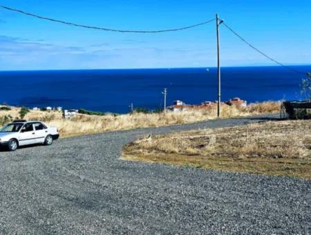 Gelegenheit Grundstück Geeignet Für Den Bau Ihres Einfamilienhauses In Ihrem Schwangeren Haus Zum Dringenden Verkauf In Tekirdag Barbarosta