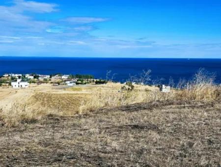 Gelegenheit Grundstück Geeignet Für Den Bau Ihres Einfamilienhauses In Ihrem Schwangeren Haus Zum Dringenden Verkauf In Tekirdag Barbarosta