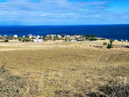 Gelegenheit Grundstück Geeignet Für Den Bau Ihres Einfamilienhauses In Ihrem Schwangeren Haus Zum Dringenden Verkauf In Tekirdag Barbarosta