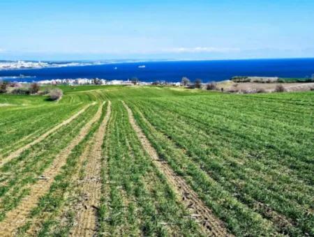 35.000 M2 Grosses Villengrundstück Mit Vollem Meerblick Zum Dringenden Verkauf In Tekirdag Barbarosta