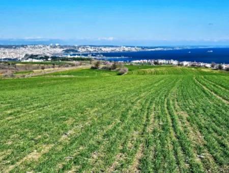 35.000 M2 Grosses Villengrundstück Mit Vollem Meerblick Zum Dringenden Verkauf In Tekirdag Barbarosta