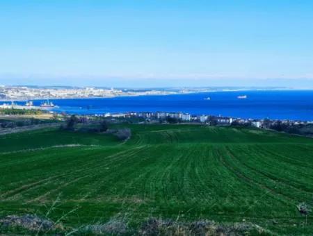 35.000 M2 Grosses Villengrundstück Mit Vollem Meerblick Zum Dringenden Verkauf In Tekirdag Barbarosta