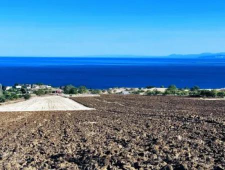 Hohe Gewinngarantie Für Den Investor Für Den Notverkauf In Tekirdag Barbrosta 50 Wohnungen Von Genossenschaft Und Grundstück Geeignet Für Den Bau