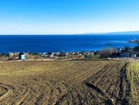 Wohngrundstück Mit Vollem Meerblick, Geeignet Für Den Bau Eines Genossenschaftsstandorts Mit 42 Wohnungen Zum Dringenden Verkauf In Tekirdag Barbarosta