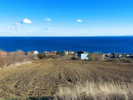 Wohngrundstück Mit Vollem Meerblick, Geeignet Für Den Bau Eines Genossenschaftsstandorts Mit 42 Wohnungen Zum Dringenden Verkauf In Tekirdag Barbarosta