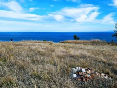 3.300 M2 Nettogrundstück, Das Für Den Bau Eines Genossenschaftsgeländes Mit Vollem Meerblick Zum Dringenden Verkauf In Tekirdag Barbarosta Geeignet Ist