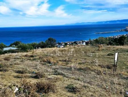 3.300 M2 Nettogrundstück, Das Für Den Bau Eines Genossenschaftsgeländes Mit Vollem Meerblick Zum Dringenden Verkauf In Tekirdag Barbarosta Geeignet Ist