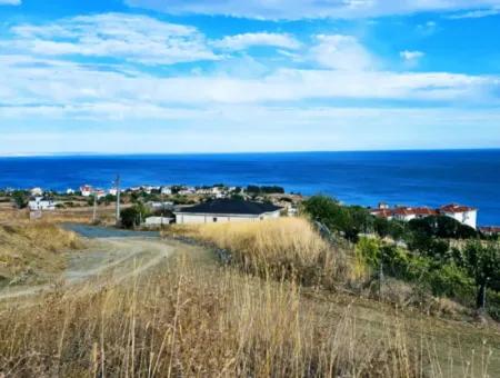 3.300 M2 Nettogrundstück, Das Für Den Bau Eines Genossenschaftsgeländes Mit Vollem Meerblick Zum Dringenden Verkauf In Tekirdag Barbarosta Geeignet Ist