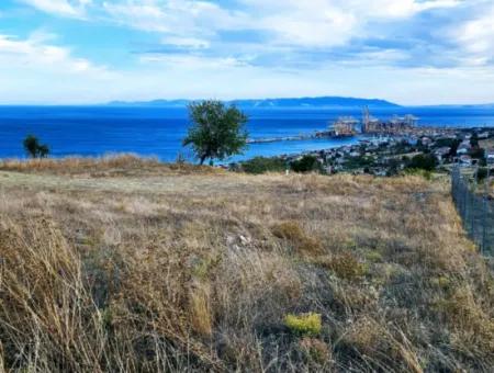 3.300 M2 Nettogrundstück, Das Für Den Bau Eines Genossenschaftsgeländes Mit Vollem Meerblick Zum Dringenden Verkauf In Tekirdag Barbarosta Geeignet Ist