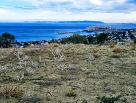 3.300 M2 Nettogrundstück, Das Für Den Bau Eines Genossenschaftsgeländes Mit Vollem Meerblick Zum Dringenden Verkauf In Tekirdag Barbarosta Geeignet Ist