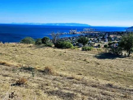 3.300 M2 Nettogrundstück, Das Für Den Bau Eines Genossenschaftsgeländes Mit Vollem Meerblick Zum Dringenden Verkauf In Tekirdag Barbarosta Geeignet Ist