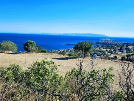 3.300 M2 Nettogrundstück, Das Für Den Bau Eines Genossenschaftsgeländes Mit Vollem Meerblick Zum Dringenden Verkauf In Tekirdag Barbarosta Geeignet Ist