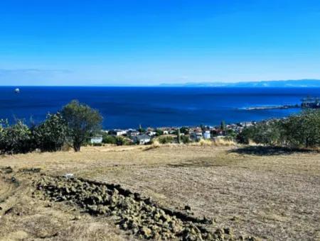 3.300 M2 Nettogrundstück, Das Für Den Bau Eines Genossenschaftsgeländes Mit Vollem Meerblick Zum Dringenden Verkauf In Tekirdag Barbarosta Geeignet Ist