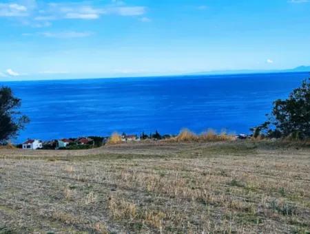 3.300 M2 Nettogrundstück, Das Für Den Bau Eines Genossenschaftsgeländes Mit Vollem Meerblick Zum Dringenden Verkauf In Tekirdag Barbarosta Geeignet Ist