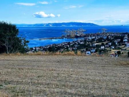 3.300 M2 Nettogrundstück, Das Für Den Bau Eines Genossenschaftsgeländes Mit Vollem Meerblick Zum Dringenden Verkauf In Tekirdag Barbarosta Geeignet Ist