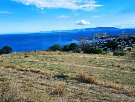 3.300 M2 Nettogrundstück, Das Für Den Bau Eines Genossenschaftsgeländes Mit Vollem Meerblick Zum Dringenden Verkauf In Tekirdag Barbarosta Geeignet Ist