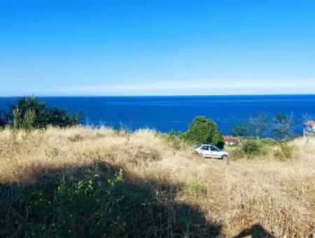 590 M2 Grundstück Mit Vollem Meerblick In Tekirdag Barbarossa, Geeignet Für 3 Villen!