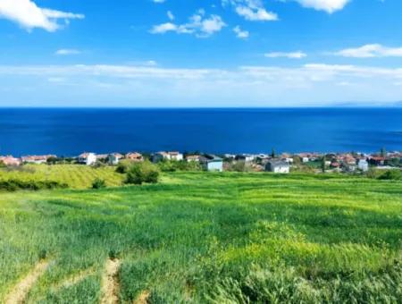 Tekirdag Barbarosta 42 Wohnungen Zum Dringenden Verkauf Genossenschaft Und Geeigneter Ort Für Den Bau Der Baustelle