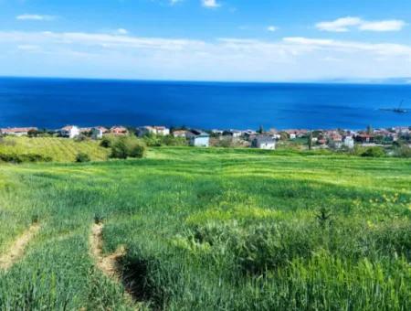 Tekirdag Barbarosta 42 Wohnungen Zum Dringenden Verkauf Genossenschaft Und Geeigneter Ort Für Den Bau Der Baustelle