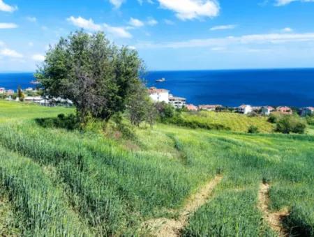 Tekirdag Barbarosta 42 Wohnungen Zum Dringenden Verkauf Genossenschaft Und Geeigneter Ort Für Den Bau Der Baustelle