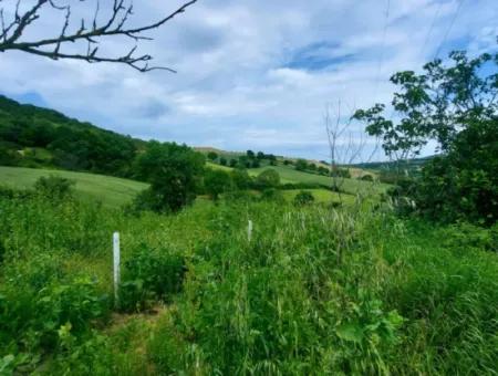 Gutscheinplatz Geeignet Für Den Dringenden Verkauf Von 580 M2 Tiny House Im Herzen Der Natur In Tekirdag Avşarda