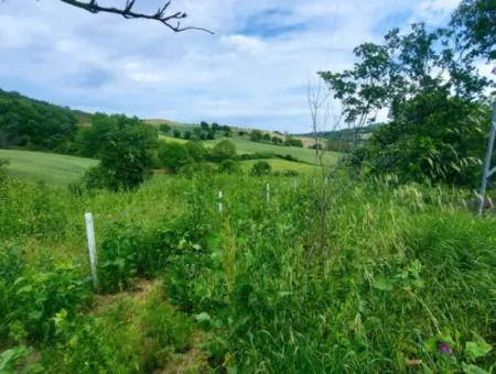 Gutscheinplatz Geeignet Für Den Dringenden Verkauf Von 580 M2 Tiny House Im Herzen Der Natur In Tekirdag Avşarda