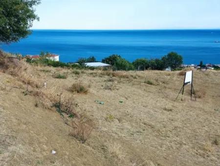 Gutschein Grundstück Zum Dringenden Verkauf Geeignet Für Den Bau Ihres Einfamilienhauses Mit Herrlichem Meerblick In Tekirdag Barbarosta